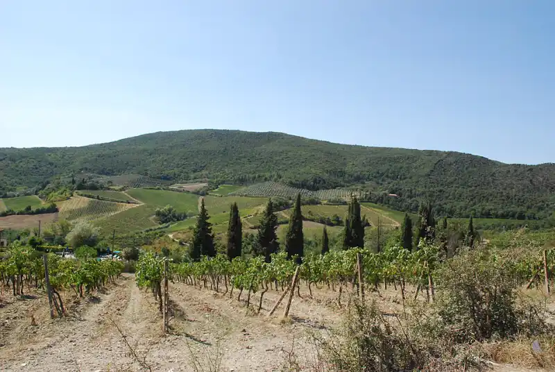 Tuscany (rural), Italy